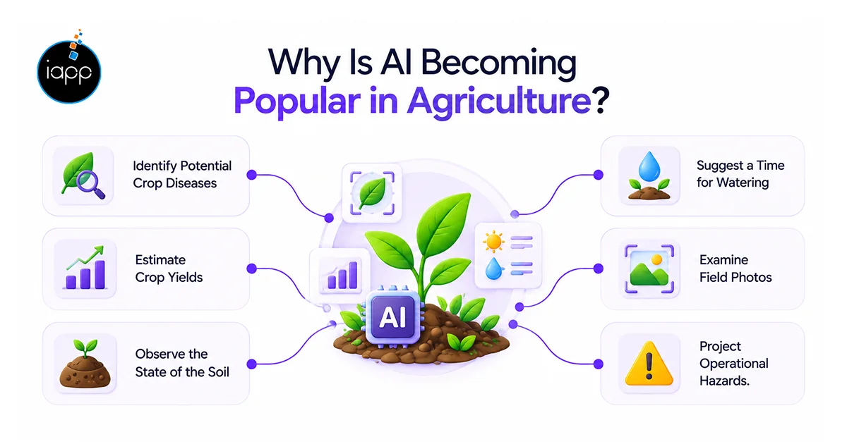 Why Is AI Becoming Popular in Agriculture_
